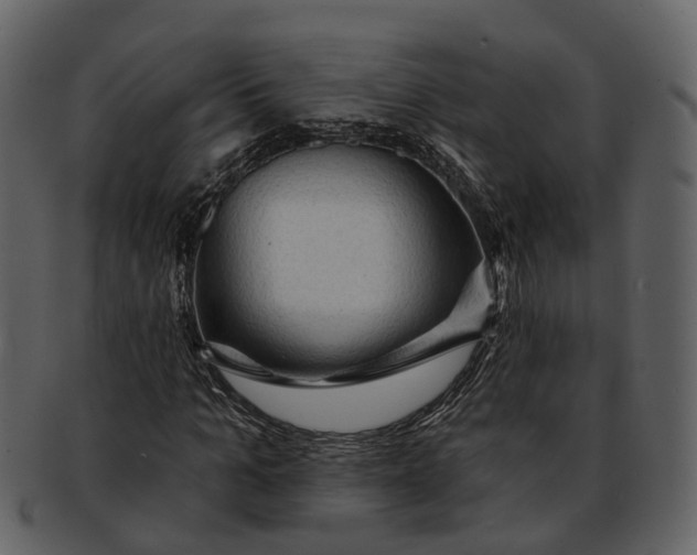 X0000093110965200710171219