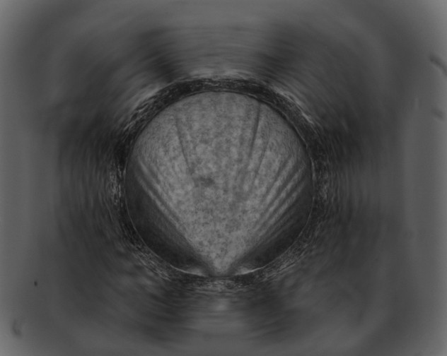 X0000093110966200710171219