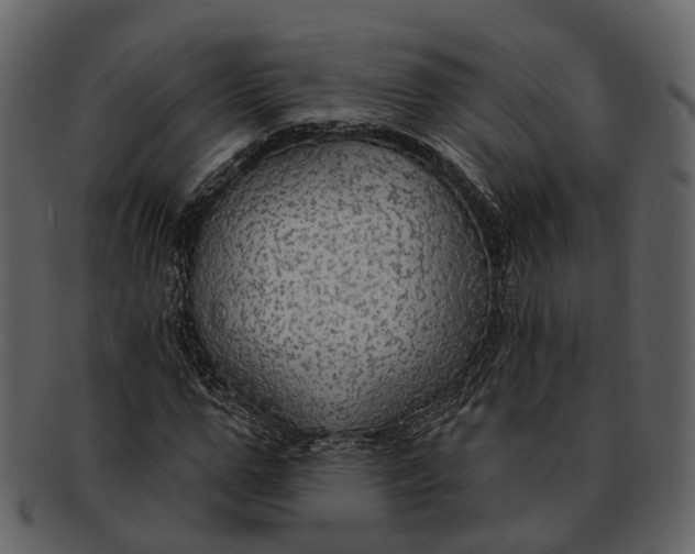 X0000093110967200710171219