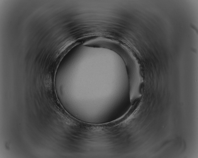 X0000093110969200710171219