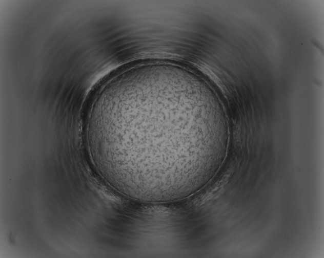 X0000093110971200710171219