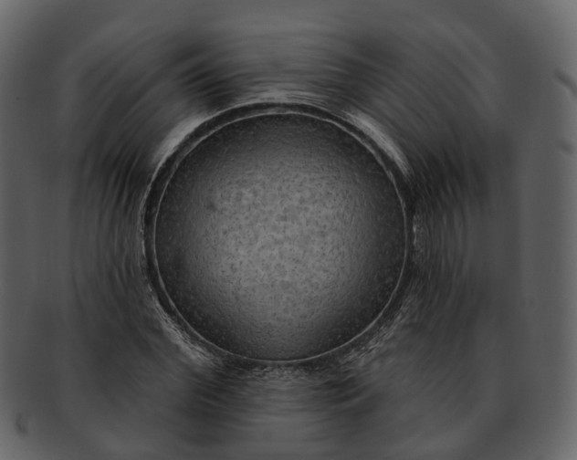 X0000093110972200710171219