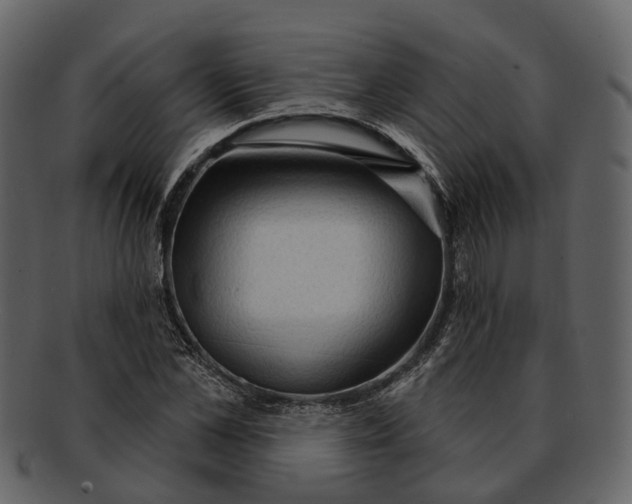 X0000093110973200710171219