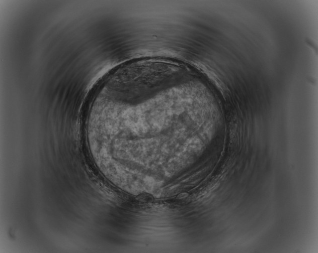 X0000093110975200710171219