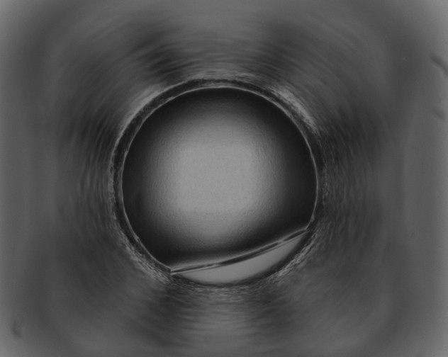 X0000093110976200710171219