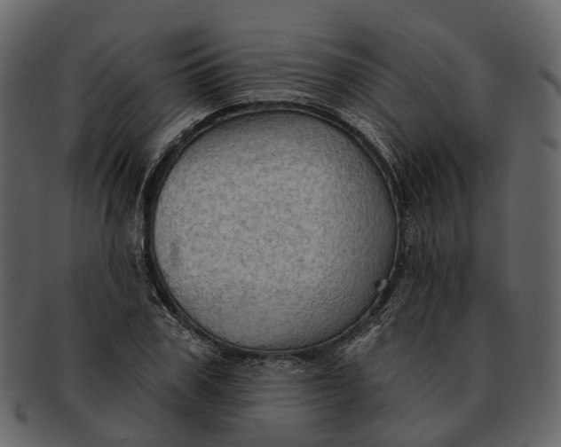 X0000093110979200710171219