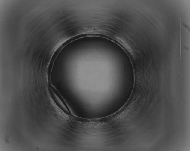 X0000093110980200710171219