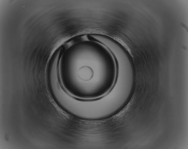 X0000093110981200710171219