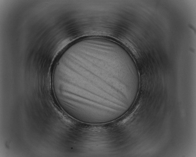 X0000093110982200710171219