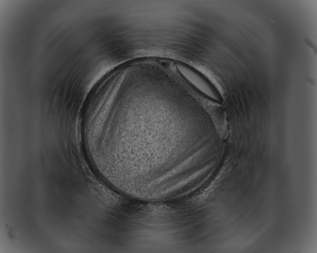 X0000093110983200710171219