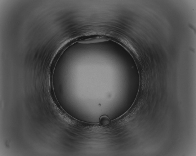 X0000093110984200710171219