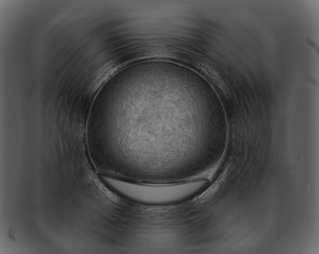 X0000093110985200710171219