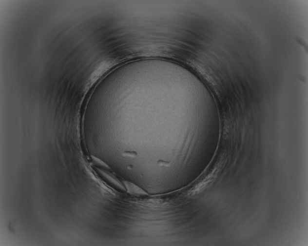 X0000093110986200710171219