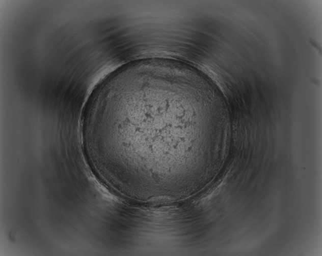 X0000093110987200710171219