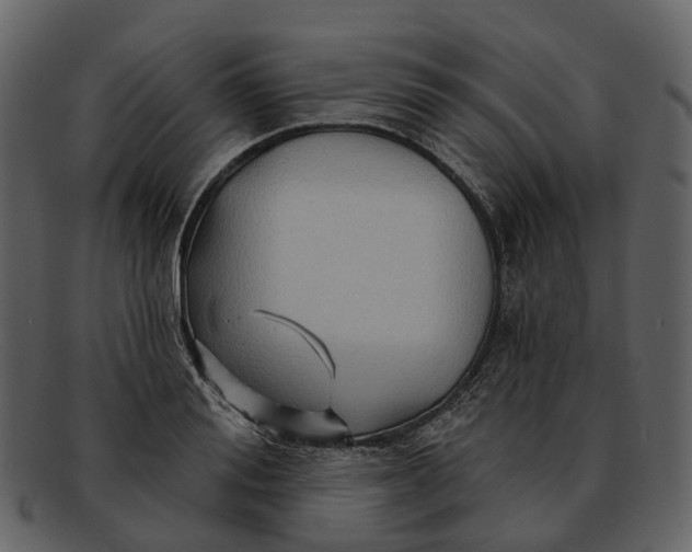 X0000093110988200710171219