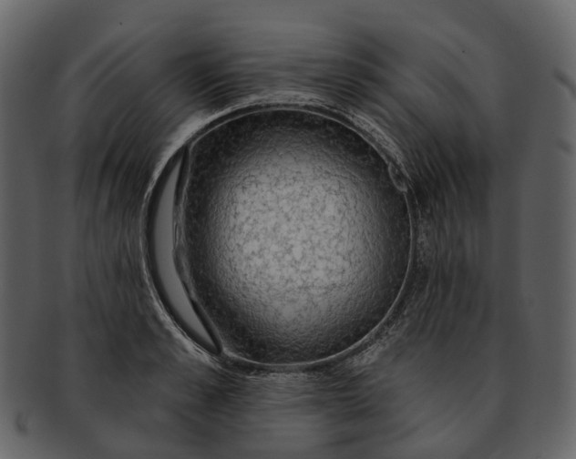 X0000093110989200710171219