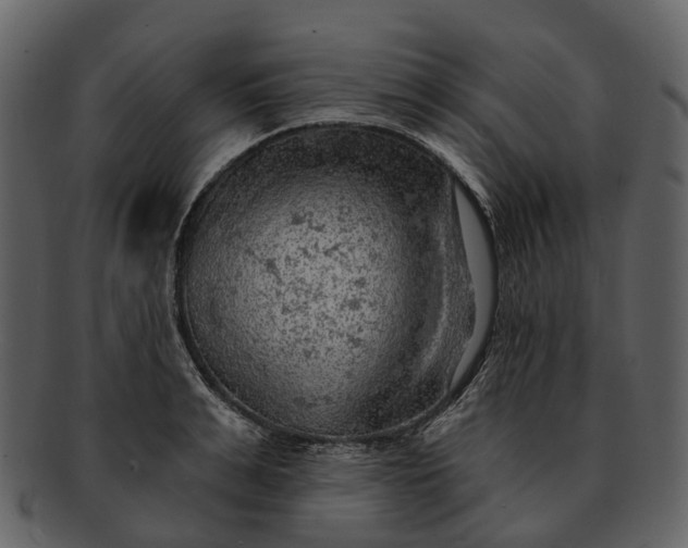 X0000093110991200710171219