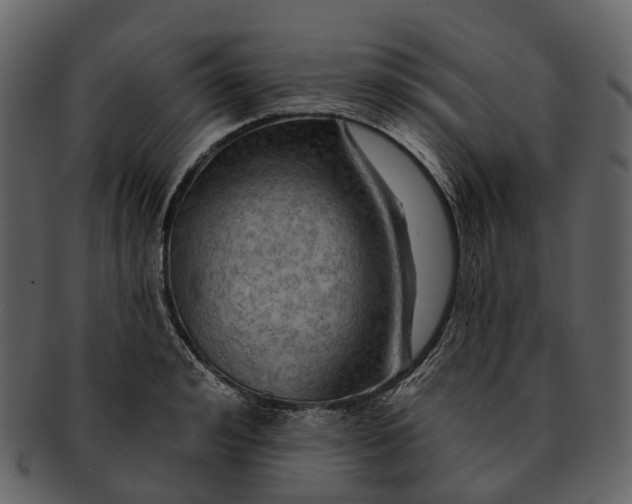 X0000093110992200710171219