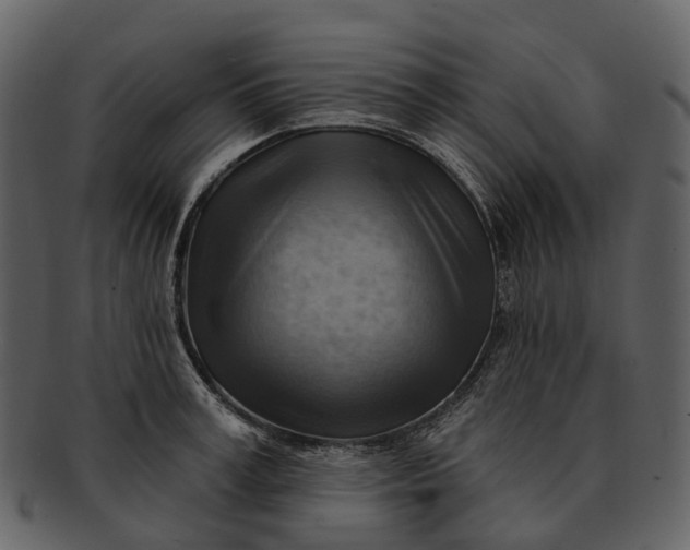 X0000093110995200710171219