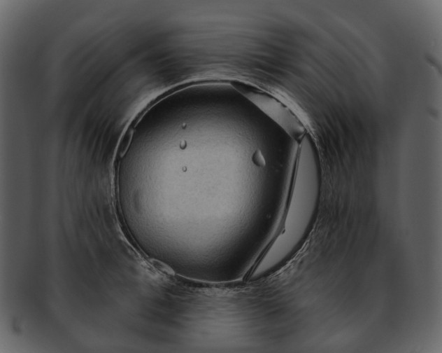 X0000093110996200710171219