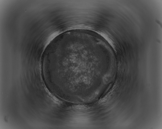 X0000093110998200710171219