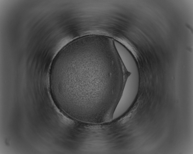 X0000093110999200710171219