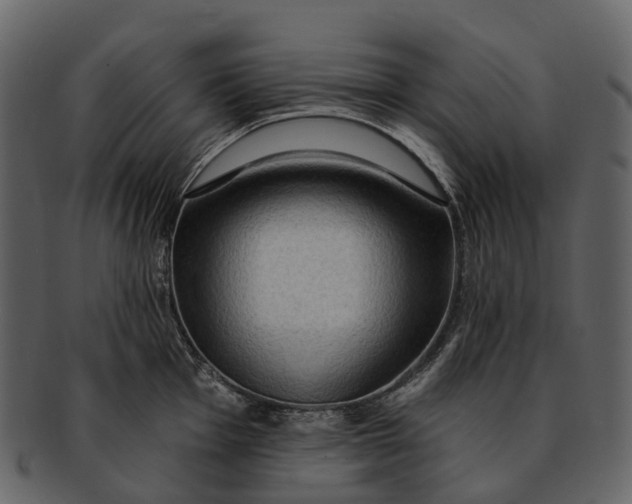 X0000093111001200710171219