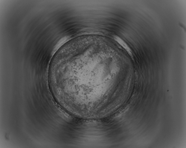 X0000093111002200710171219