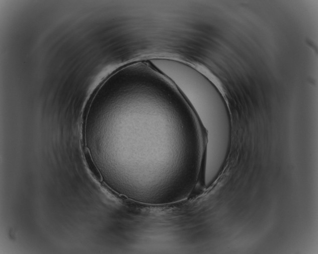 X0000093111005200710171219