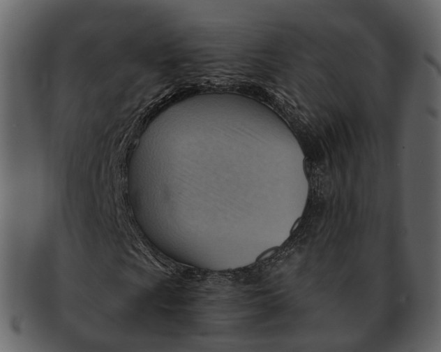 X0000093111009200710171218