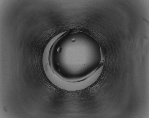 X0000093111010200710171218