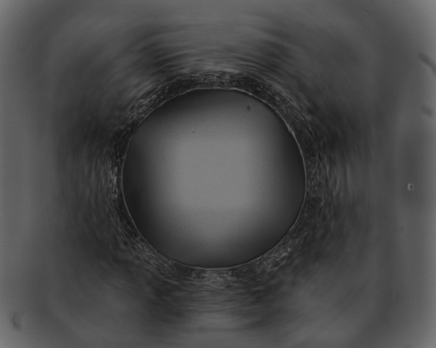 X0000093111013200710171218