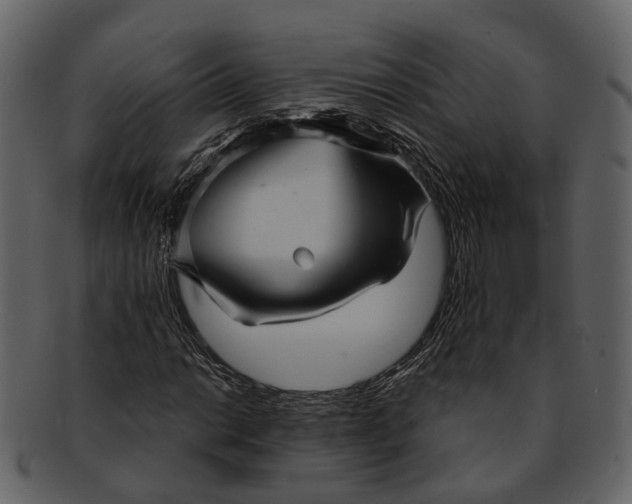 X0000093111014200710171218