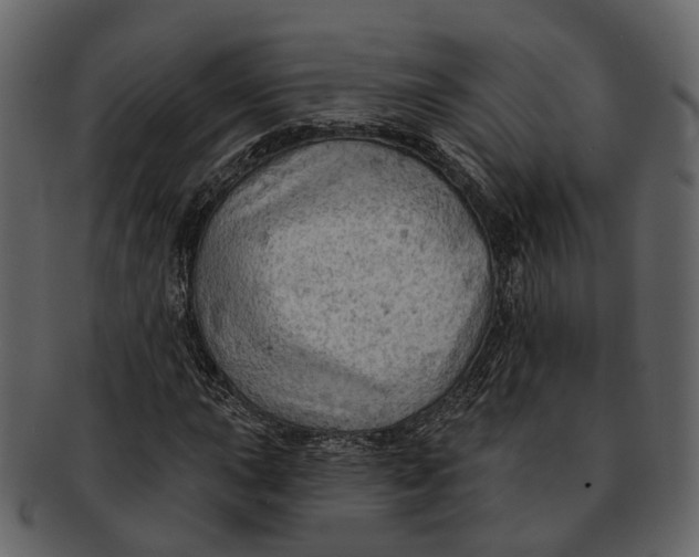 X0000093111015200710171218