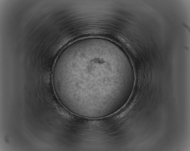 X0000093111017200710171218