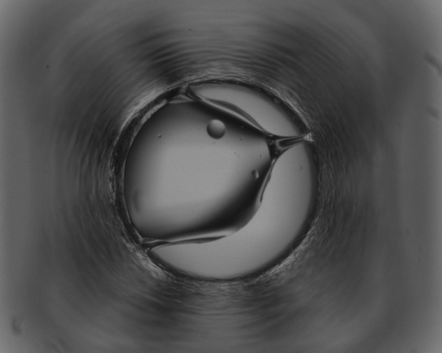 X0000093111018200710171218