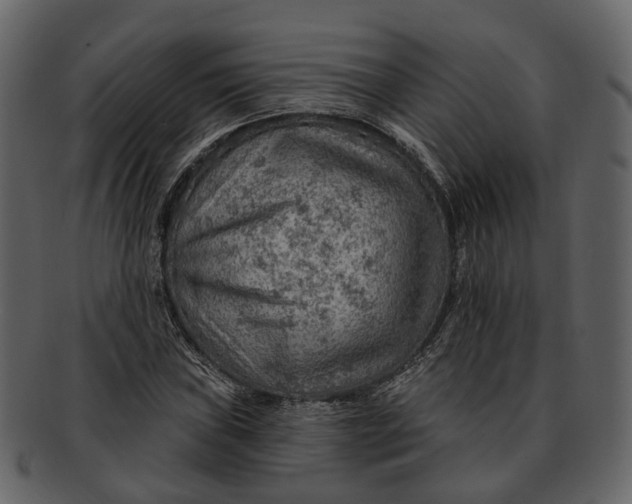 X0000093111019200710171218