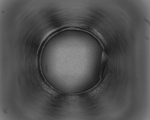 X0000093111020200710171218