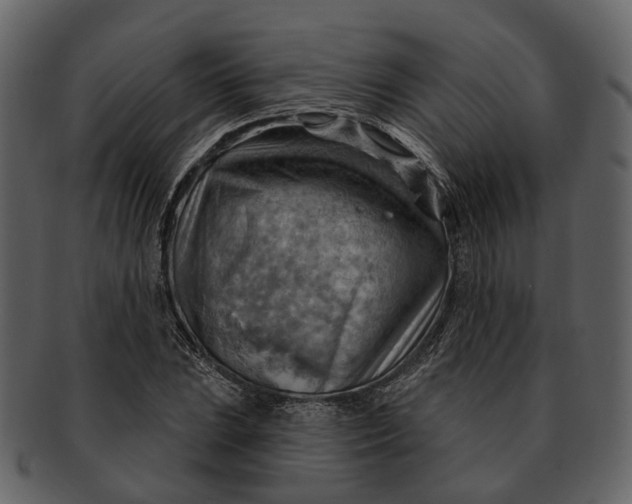 X0000093111023200710171218