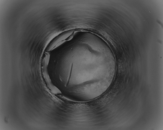 X0000093111024200710171218