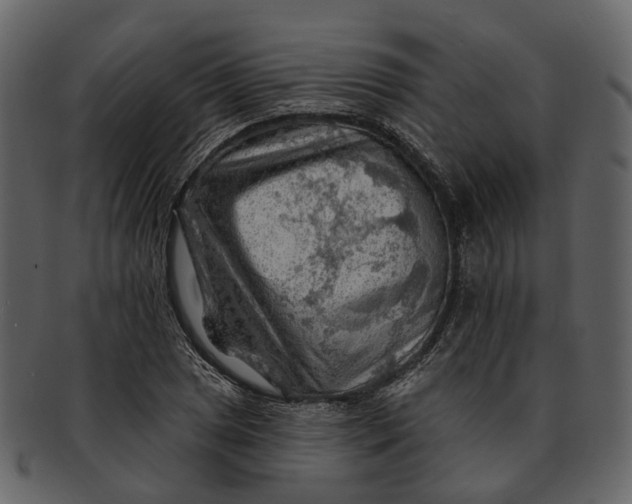 X0000093111025200710171218