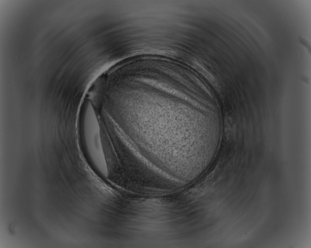 X0000093111028200710171218