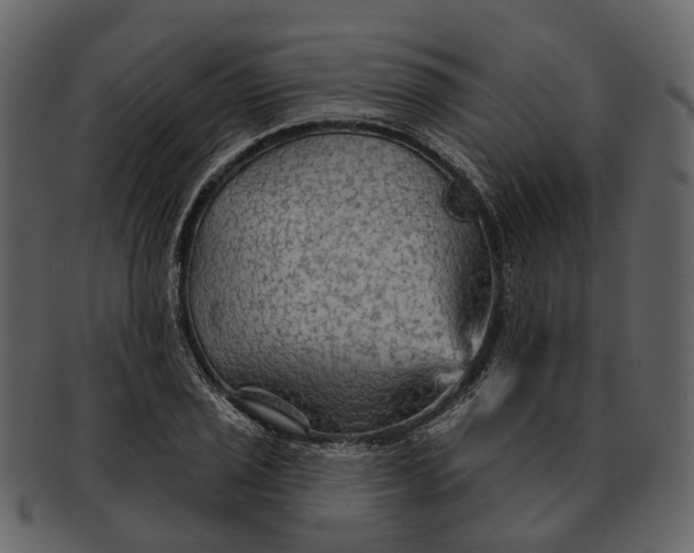 X0000093111029200710171218