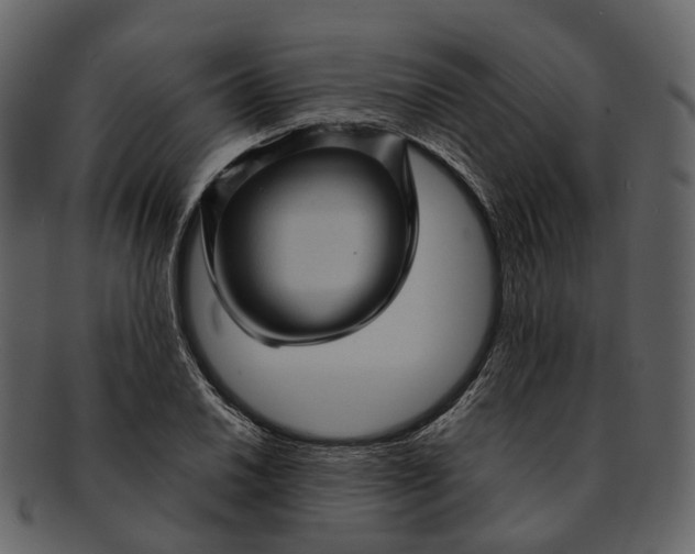 X0000093111030200710171218