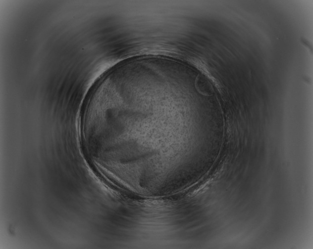 X0000093111032200710171218