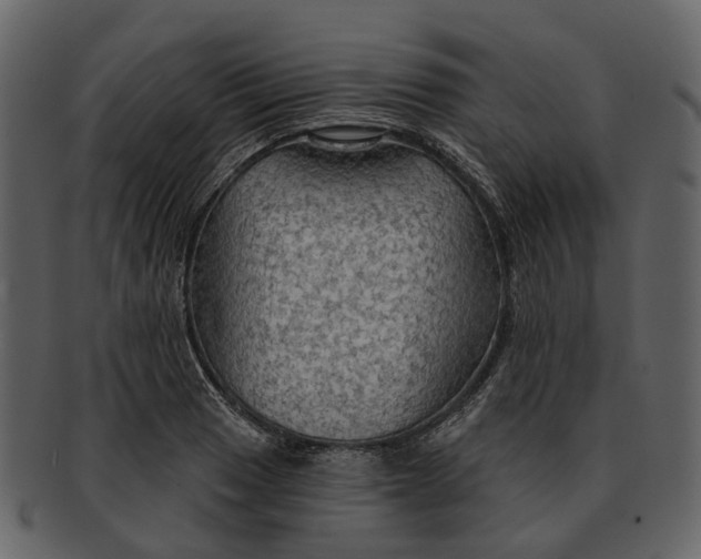 X0000093111033200710171218