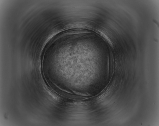 X0000093111035200710171218