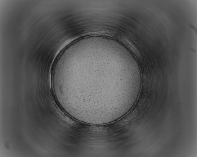 X0000093111036200710171218