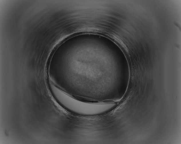 X0000093111037200710171218