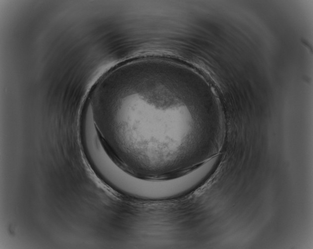 X0000093111038200710171218